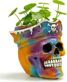 Hand Painted Pirate Skull Planter, Gothic Planter, Unique Small Skeleton Flower Pot Indoor/Outdoor with Drainage (Color: Colorful  Rainbow)